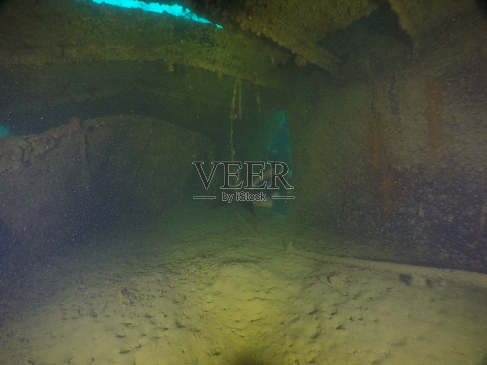 在帕劳群岛的沉船上潜水。照片摄影图片