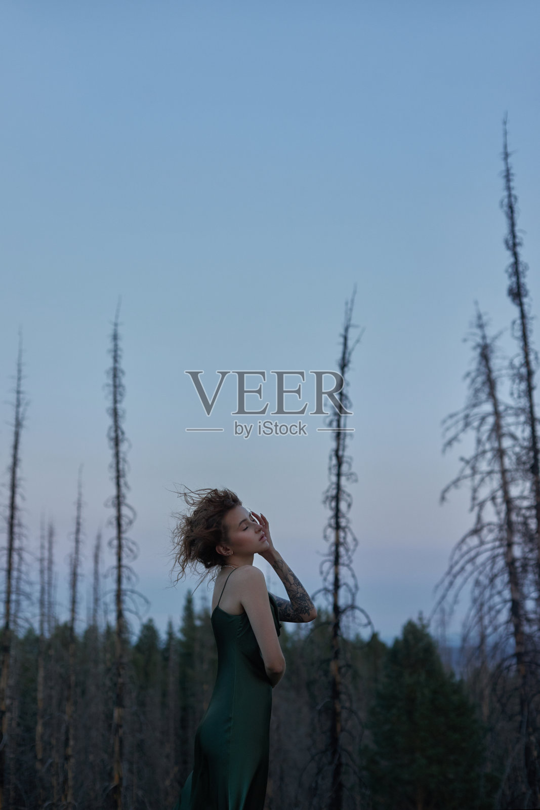 森林里美丽的红发女子，与自然融为一体，浪漫神秘的少女肖像，暮色自然照片摄影图片