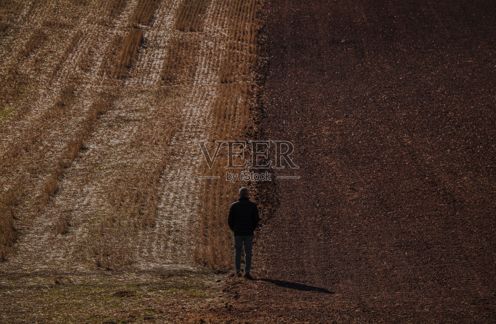 后视图的成年人在冬季布上的领域。在西班牙的卡斯蒂利亚和莱昂拍摄照片摄影图片