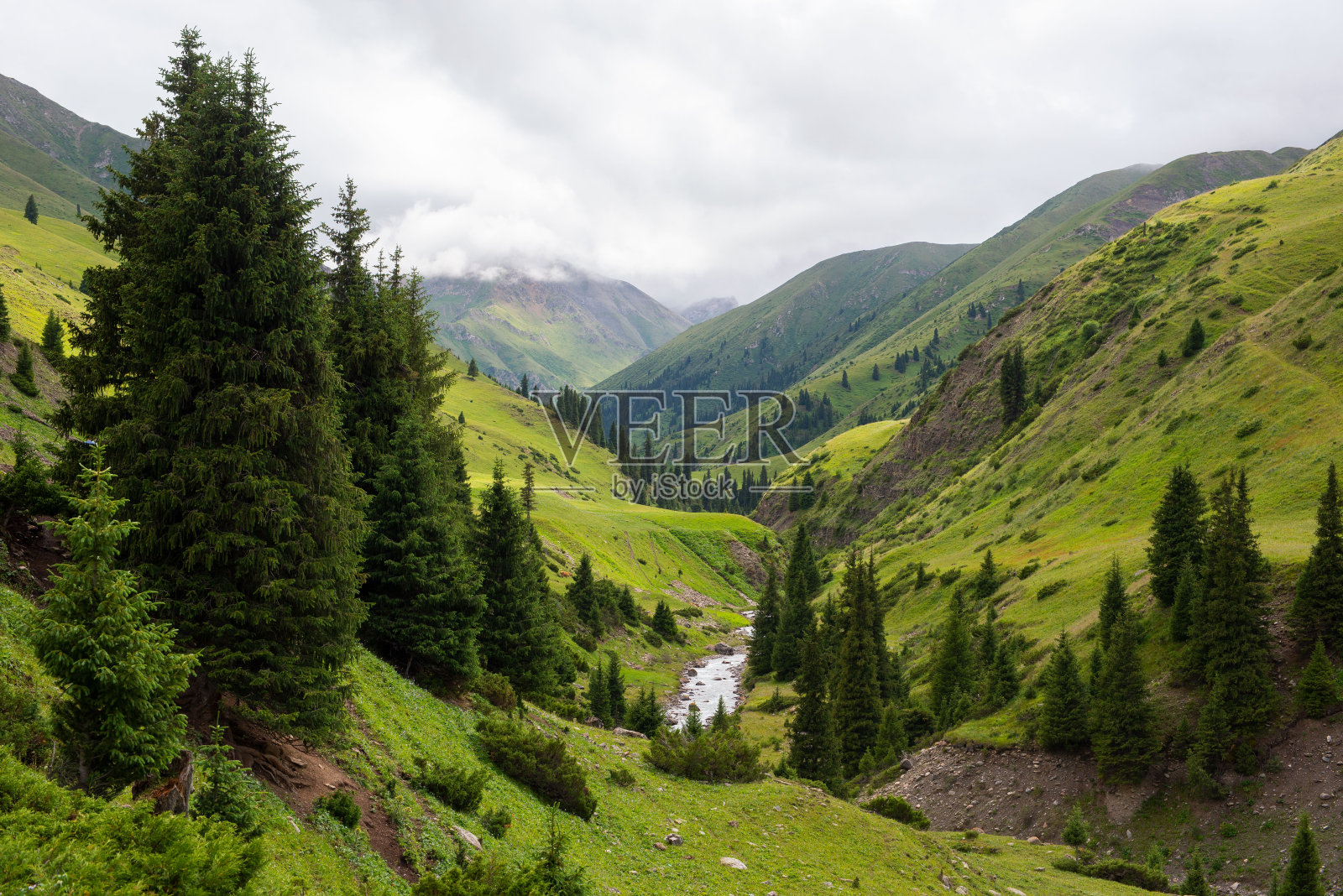 畜牧业夏季牧场与传统的哈萨克蒙古包照片摄影图片