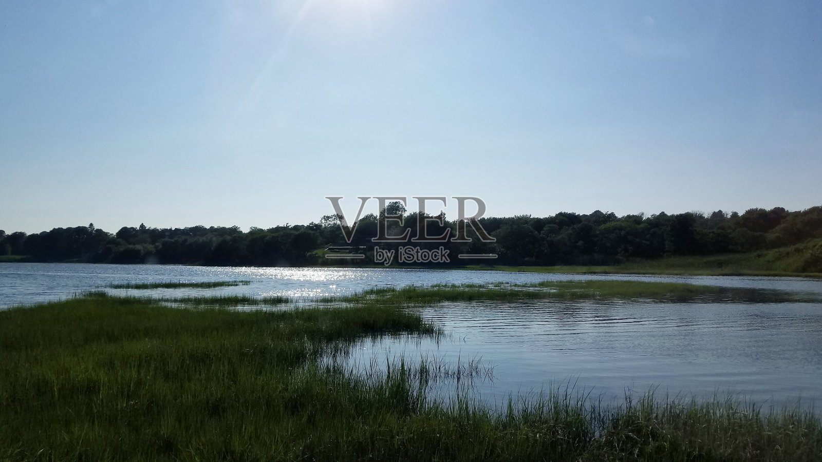 沼泽土地美丽照片摄影图片