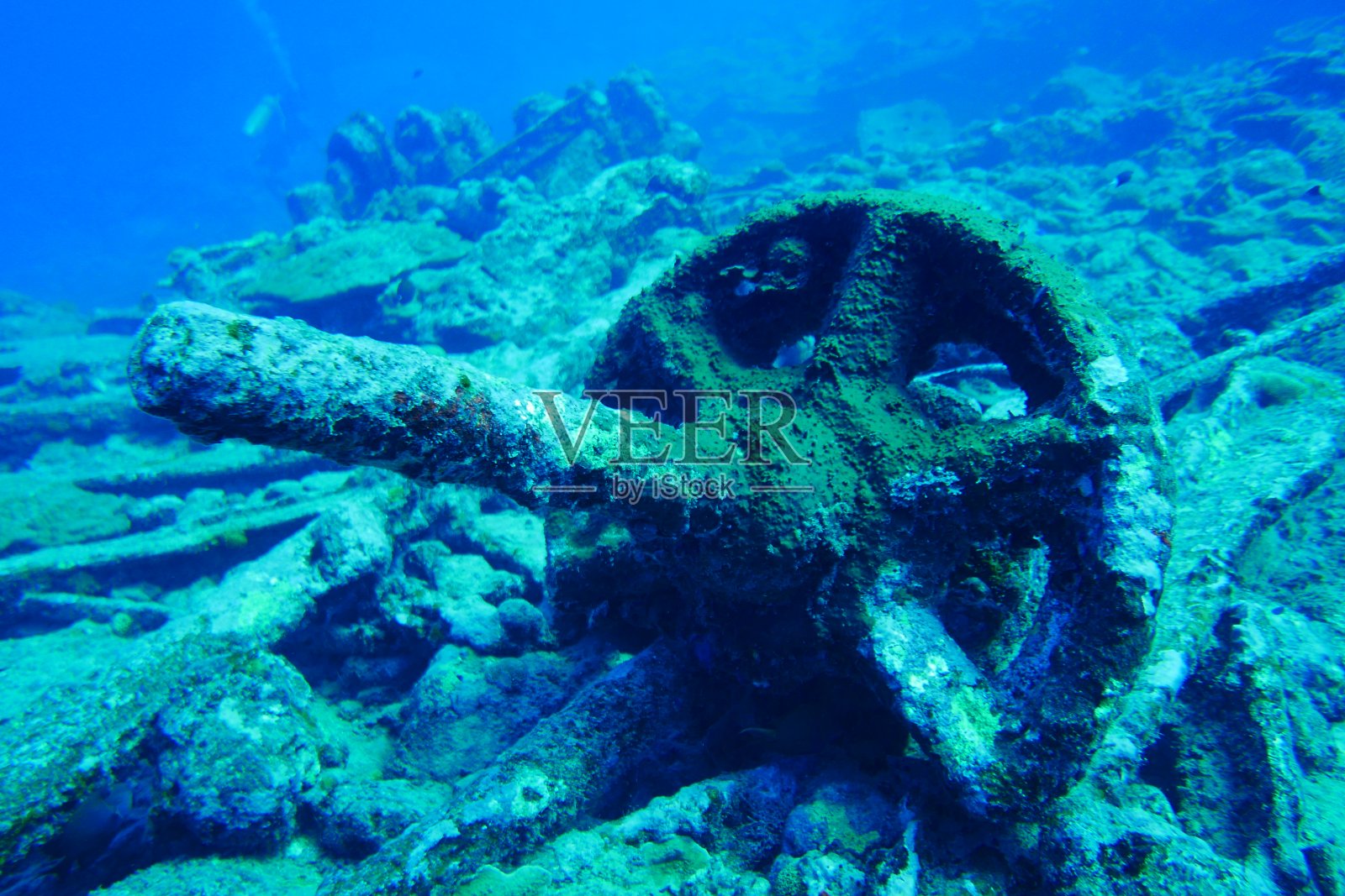 在密克罗尼西亚的雅浦和蝠鲼一起潜水照片摄影图片