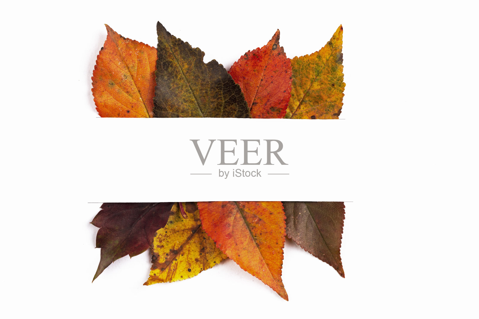 秋天的框架与复制空间照片摄影图片