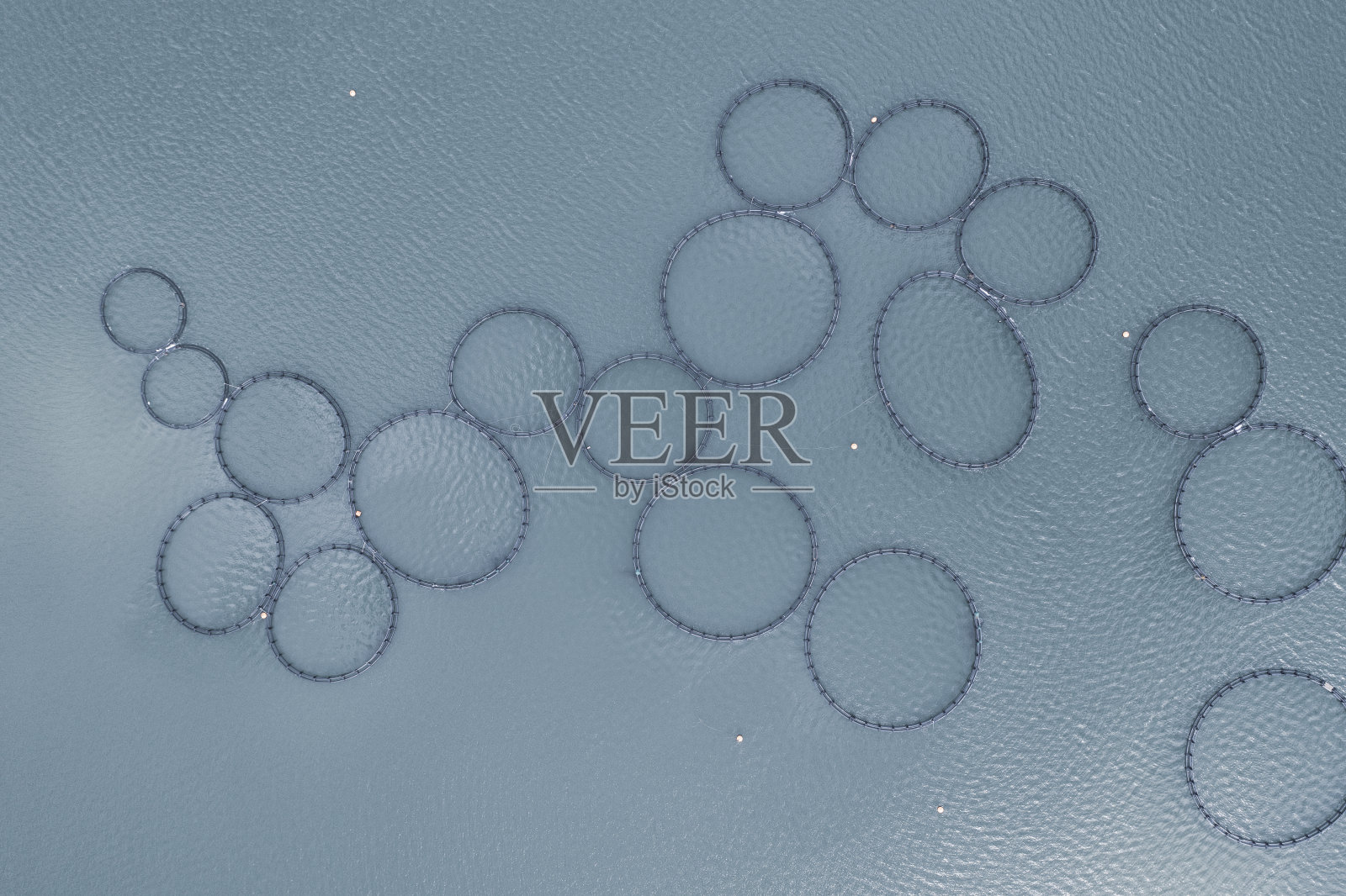 鸟瞰图捕鱼围栏在水中。照片摄影图片