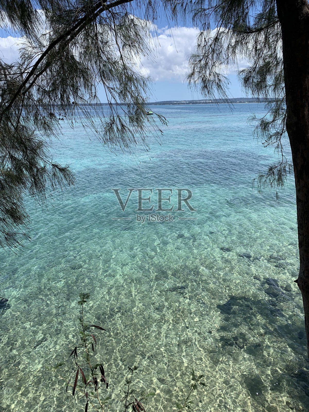 监狱岛照片摄影图片