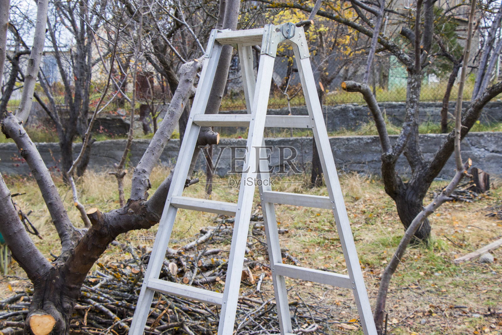 梯照片摄影图片