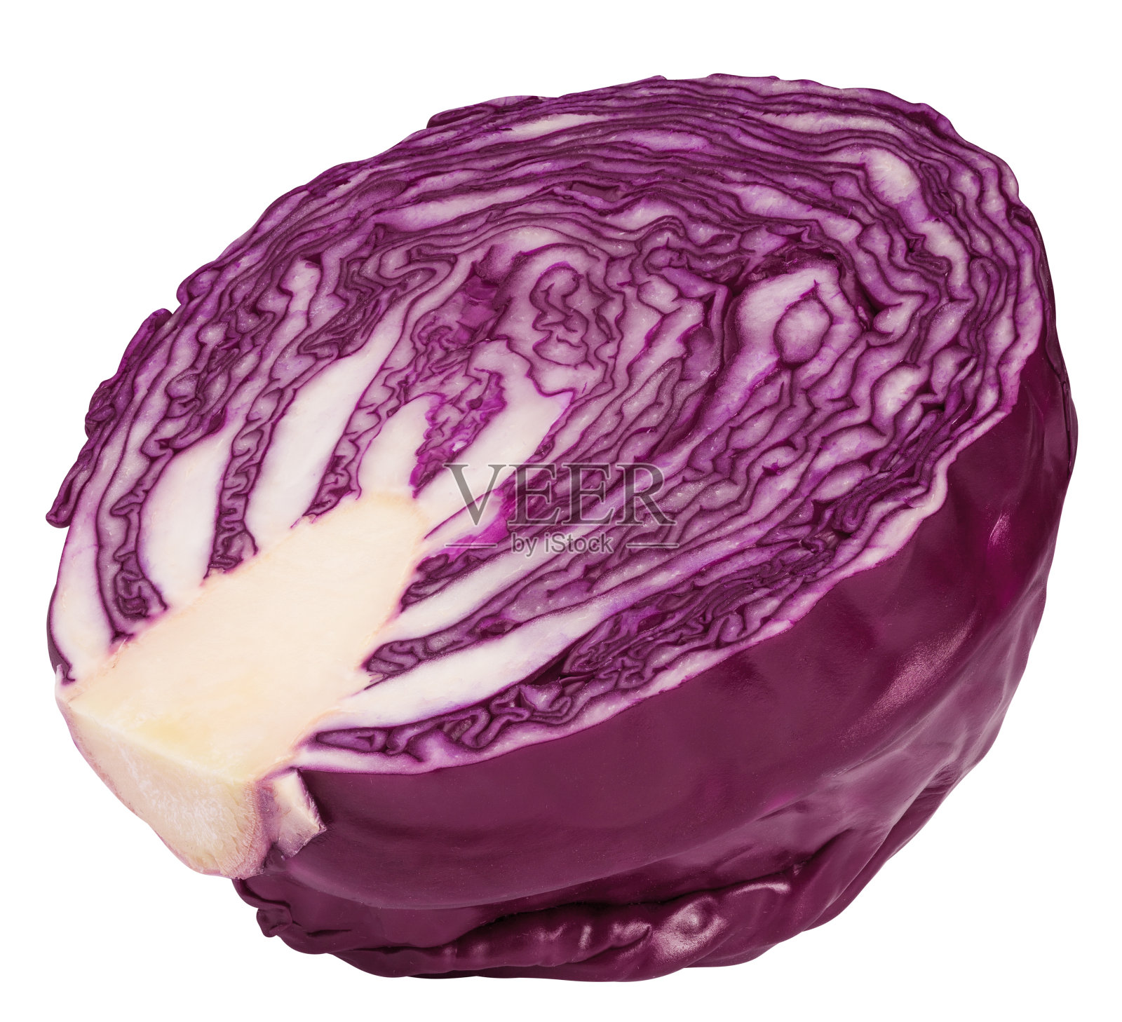 红甘蓝，孤立在白色背景，修剪路径，全景深照片摄影图片