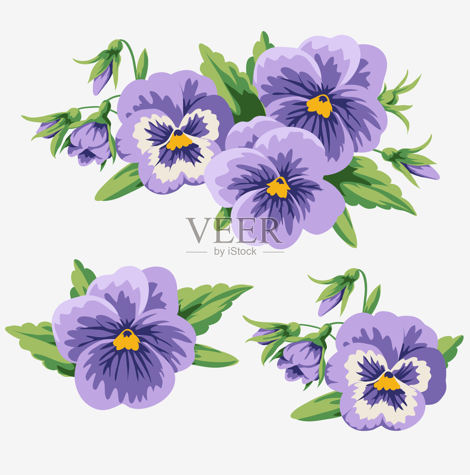 扁平的古董紫罗兰和花蕾收集。装饰性的花束。插画图片素材