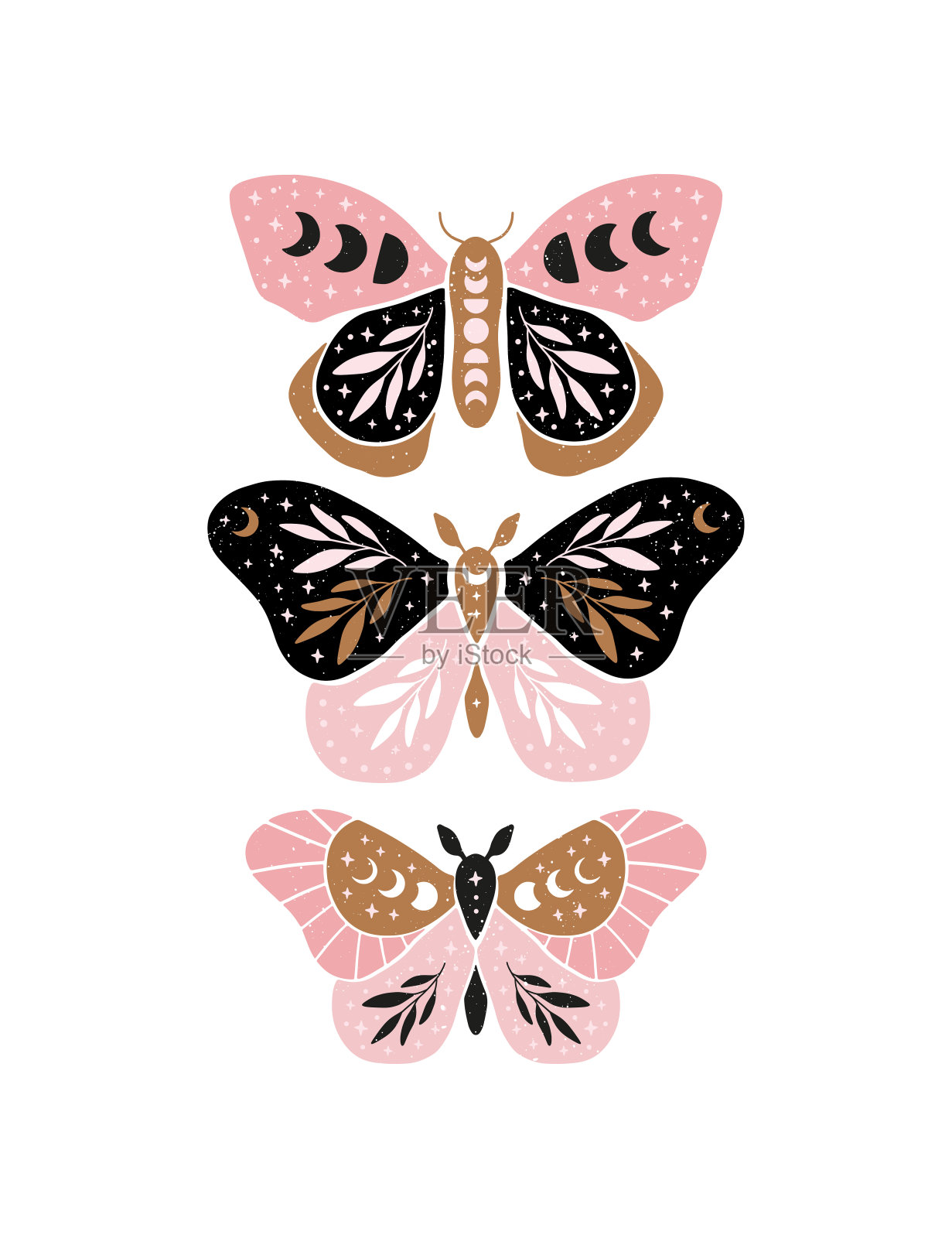 天体蝴蝶矢量插图。插画图片素材