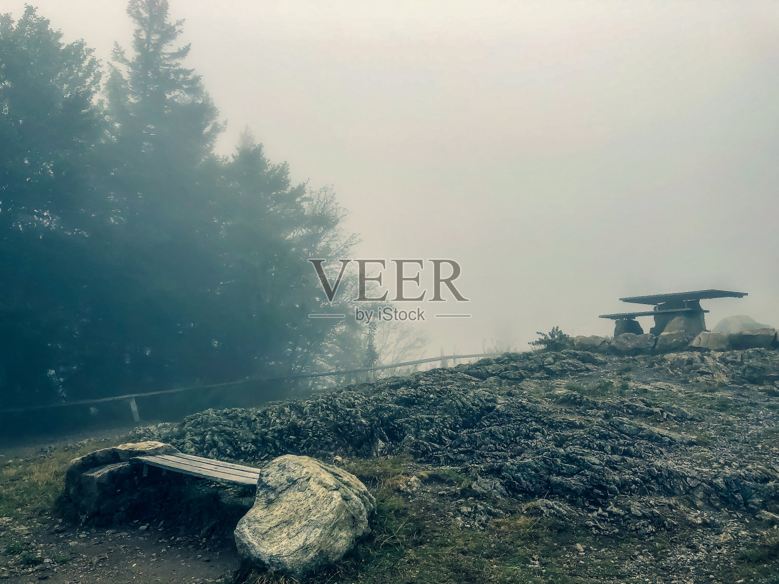 黑森林里一座山上的小公园。照片摄影图片