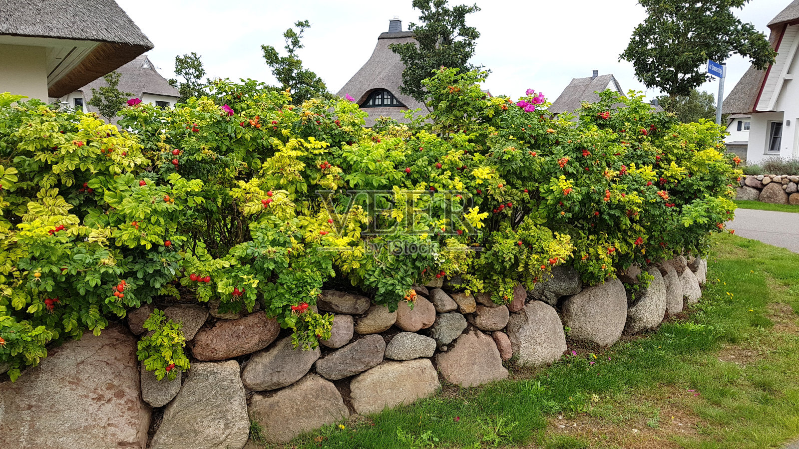 弗里森墙、干石墙、田野石照片摄影图片