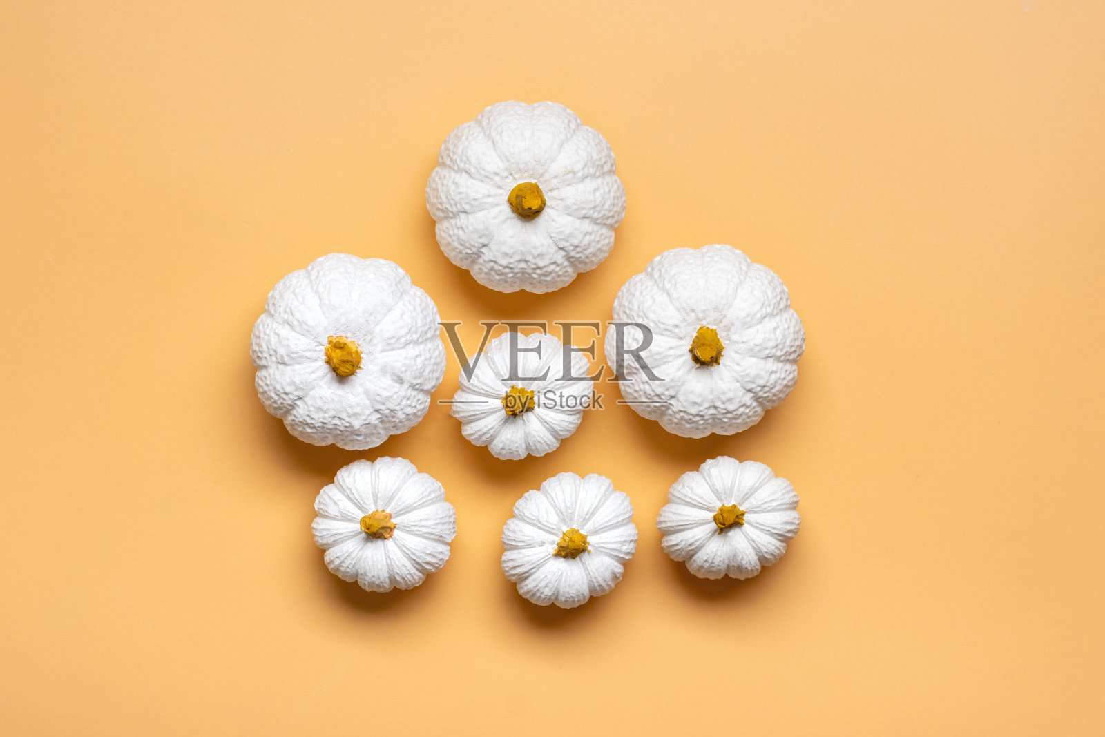 橙色，白色的南瓜和枫叶孤立在米色的背景俯视图平lay你好秋天，感恩节快乐的概念节日贺卡照片摄影图片