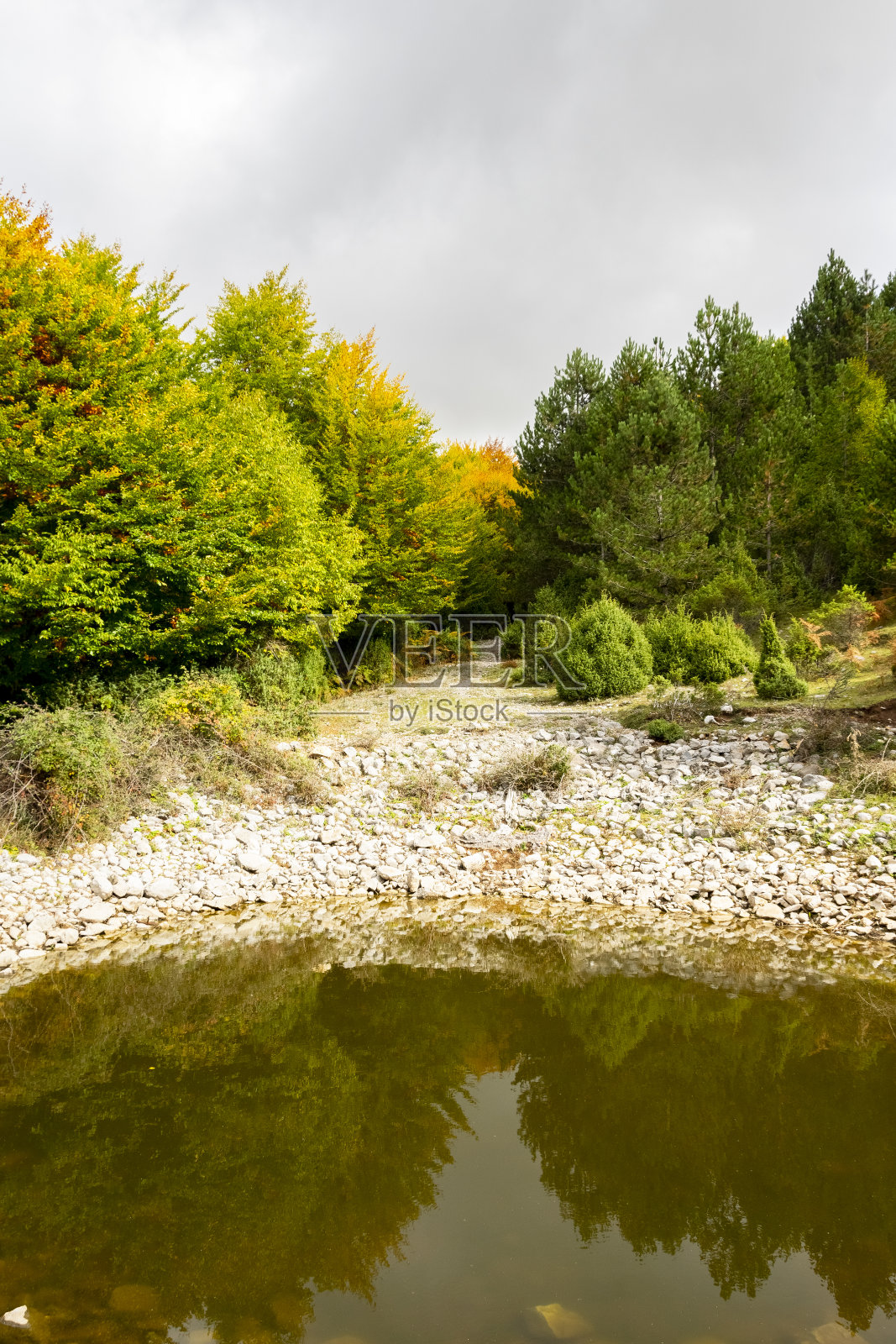 阿尔巴尼亚的秋天。五彩缤纷的秋天森林景观照片摄影图片