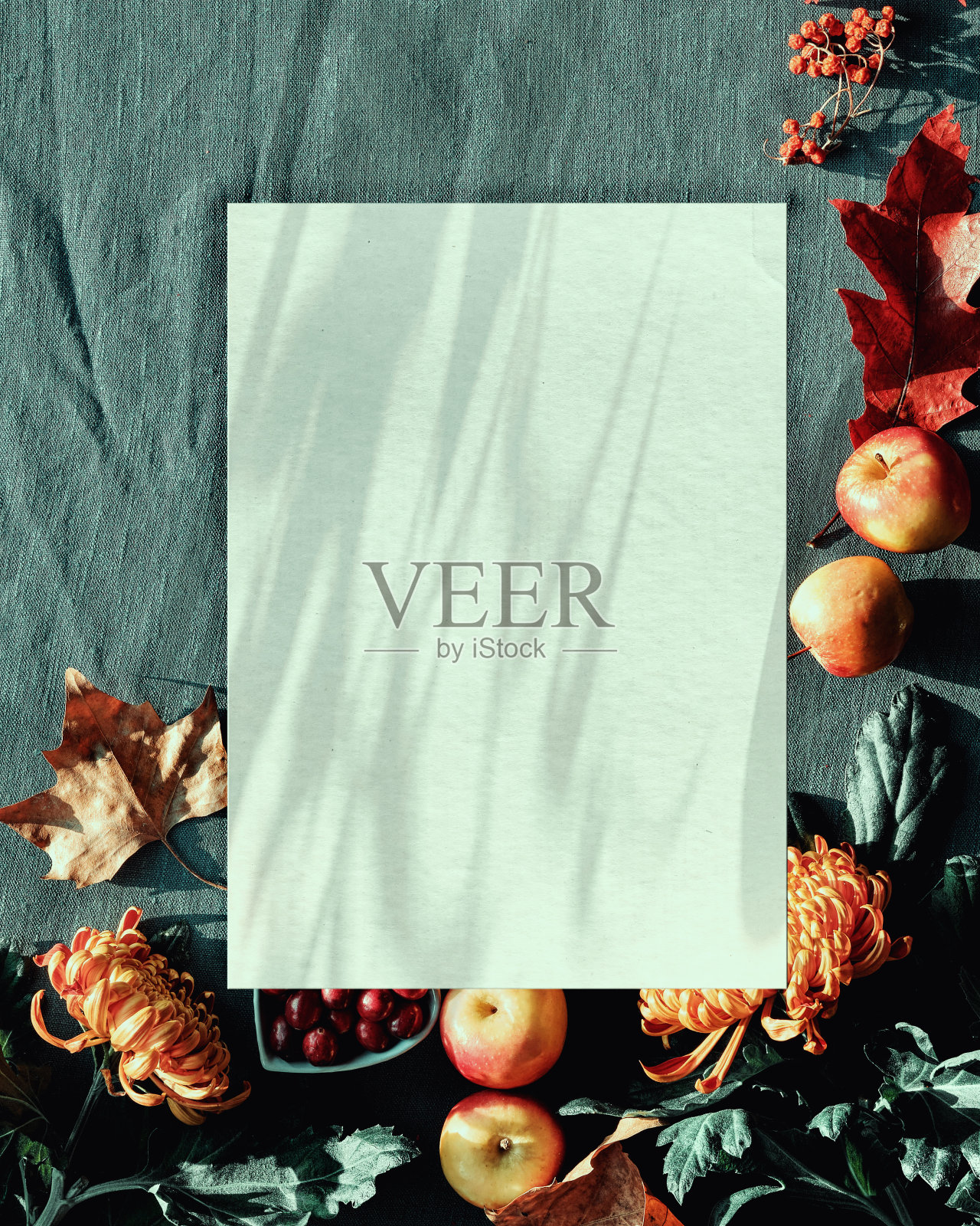 带阴影的纸模型。秋天的装饰品——蔓越莓，饼干。茶叶，干橡树叶和包装礼品。平铺，俯视图在深绿色纺织品上。下落背景，文字空间照片摄影图片