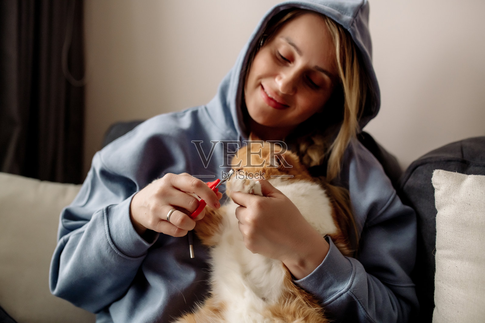 一个女人用指甲剪剪她毛茸茸的小猫的爪子照片摄影图片