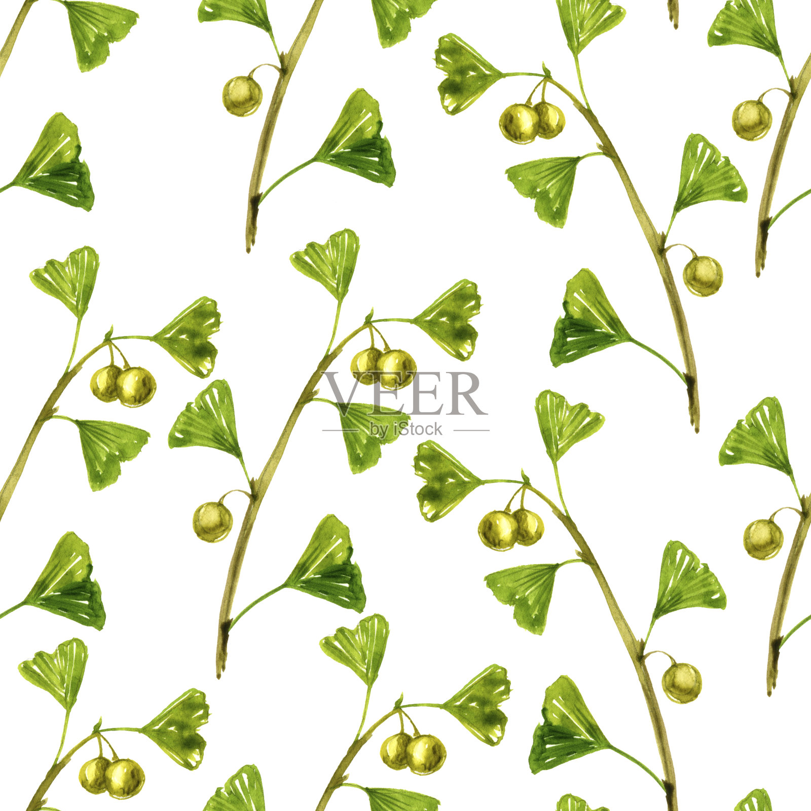 无缝图案与水彩画银杏插画图片素材