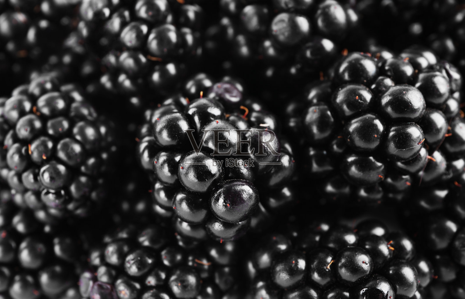 美味成熟的黑莓作为背景，俯视图照片摄影图片