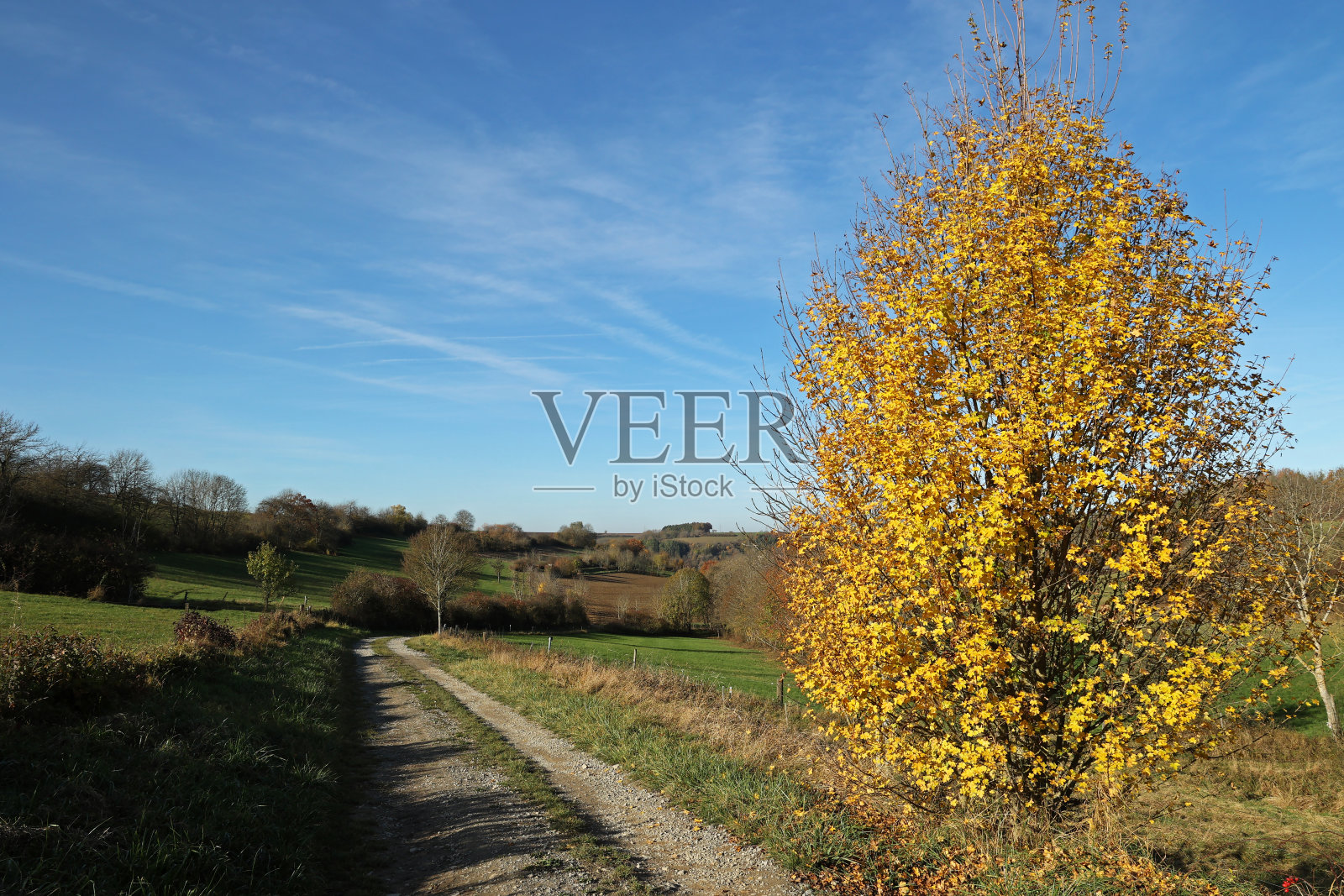 秋天的风景与田野和草地在一个晴朗的日子照片摄影图片