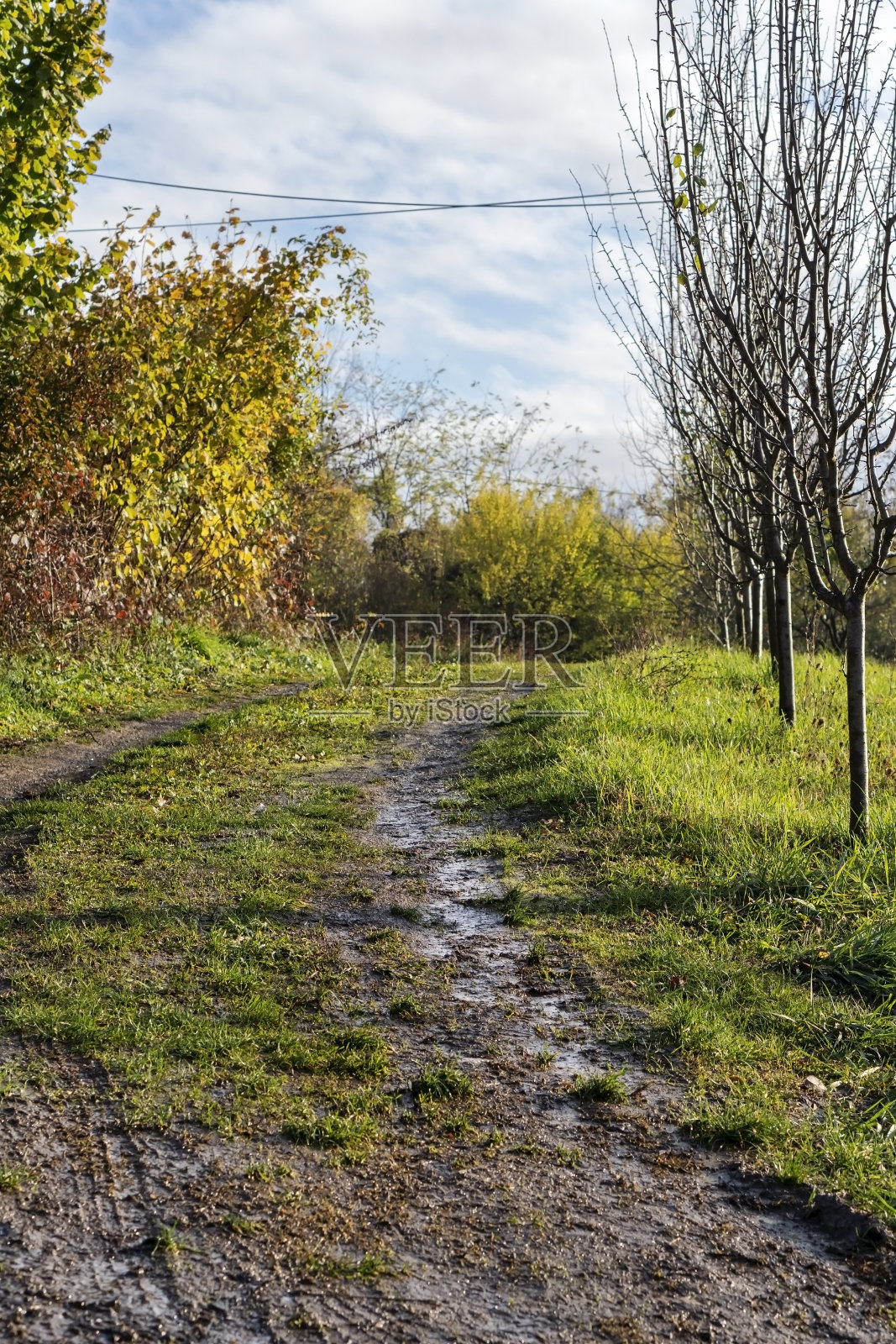 乡村的秋天早晨照片摄影图片