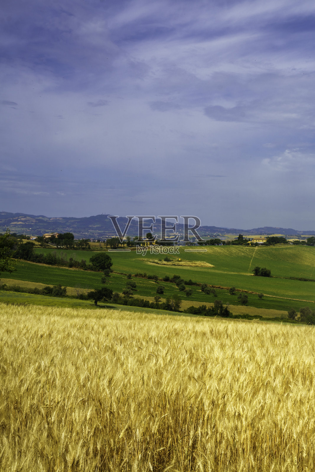 沿着从Fano到Mondavio, Marche公路的乡村景观照片摄影图片