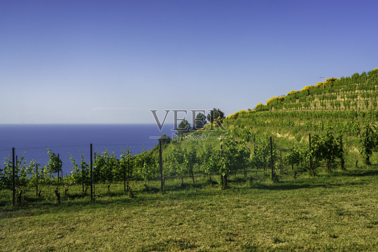 加比切和佩萨罗之间的亚得里亚海岸照片摄影图片