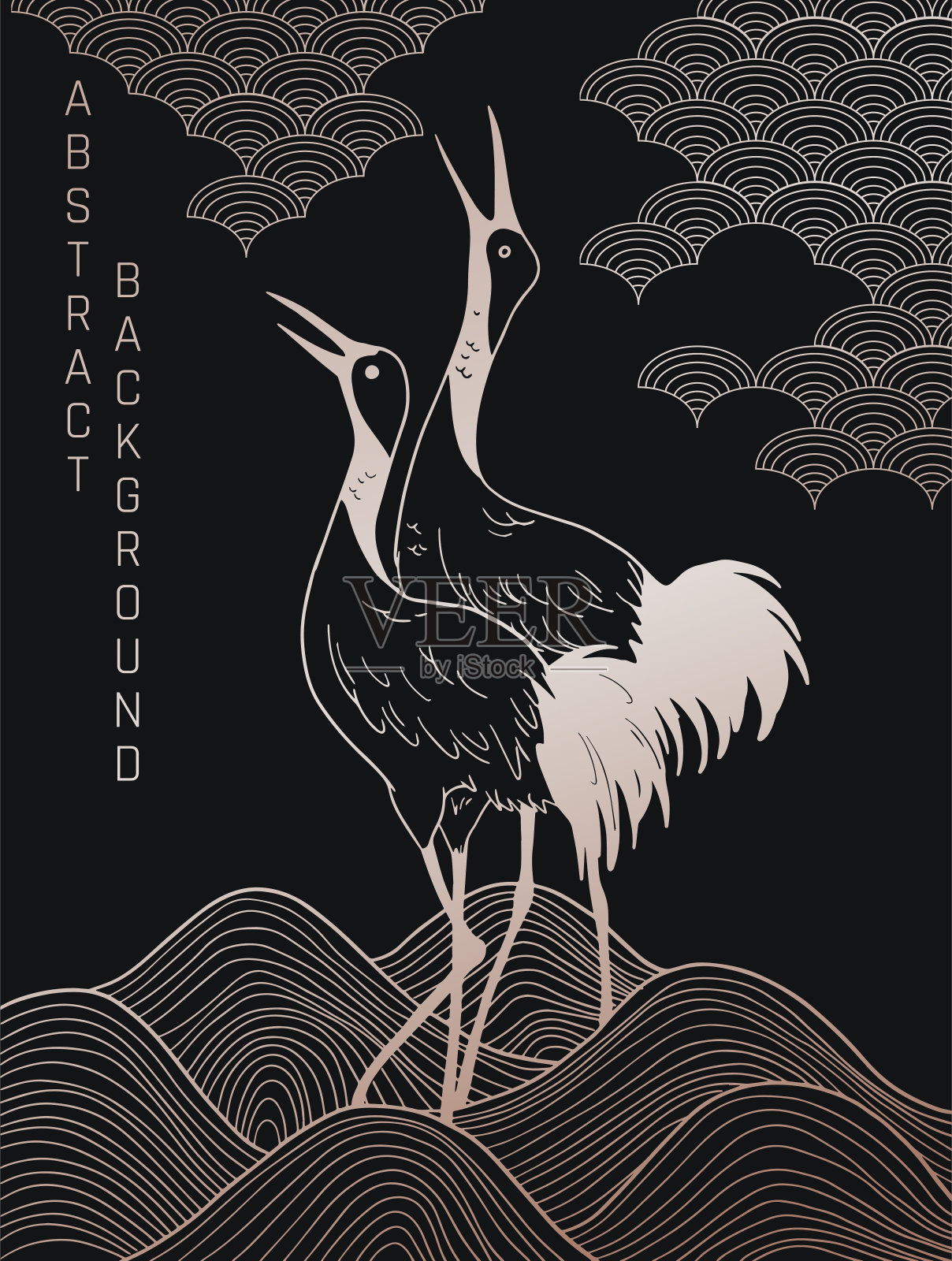 鹤鸟插图插画图片素材