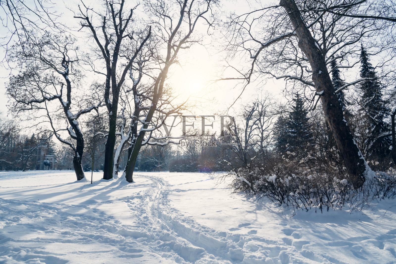 日落与树木在冬天的景观照片摄影图片