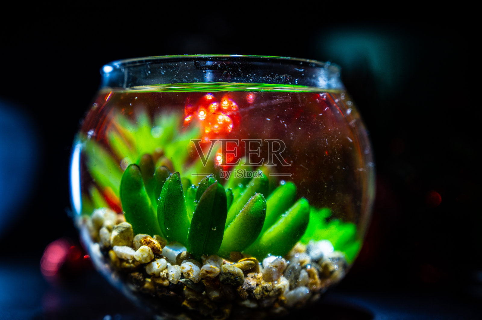 美美的照片摄影图片