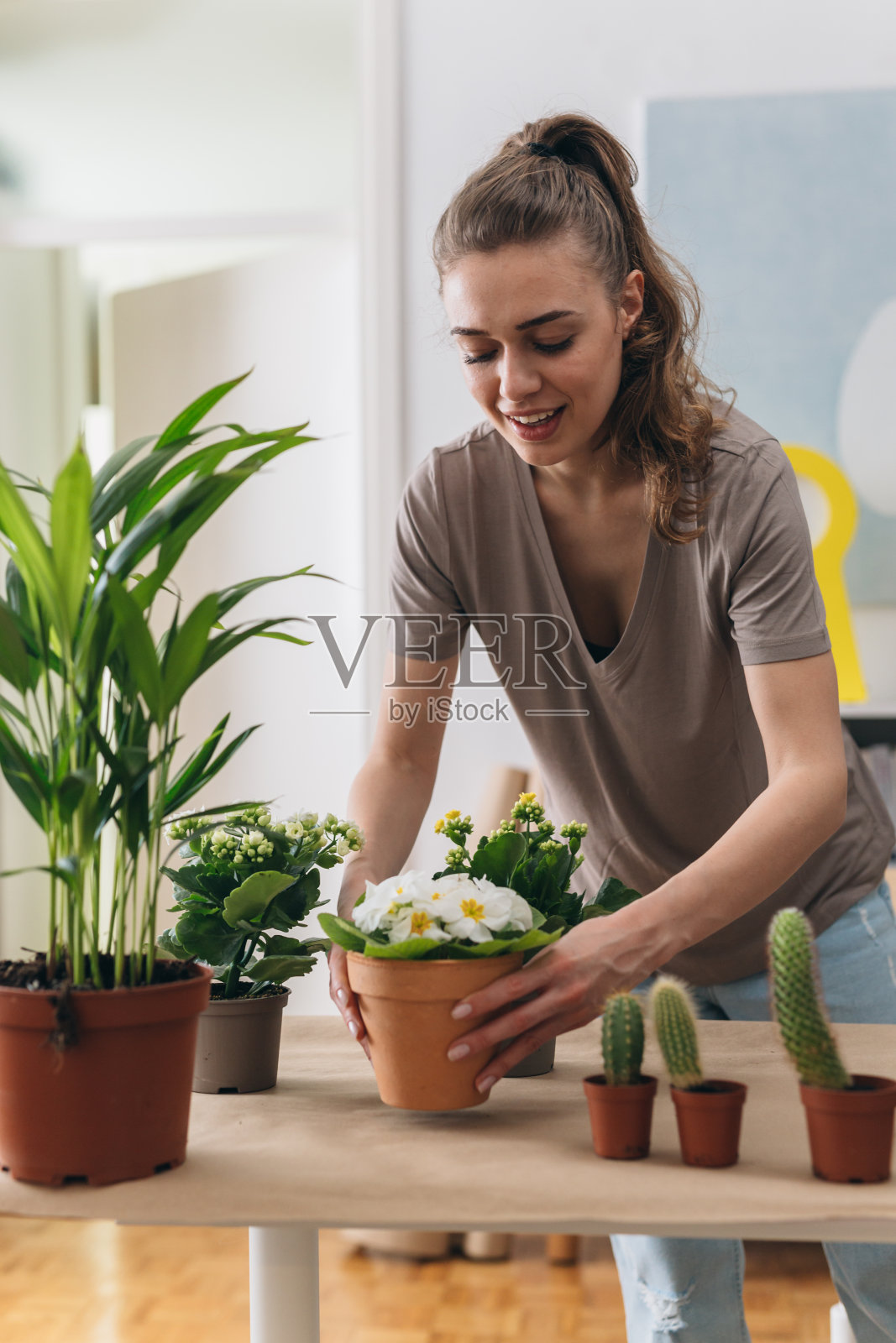 妇女在家园艺照片摄影图片