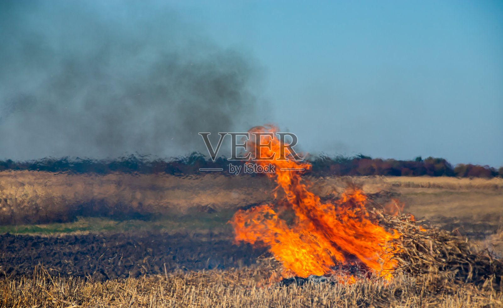 焚烧农业废物-烟雾和污染。在农田里燃烧干草和秸秆所排放的有害气体照片摄影图片