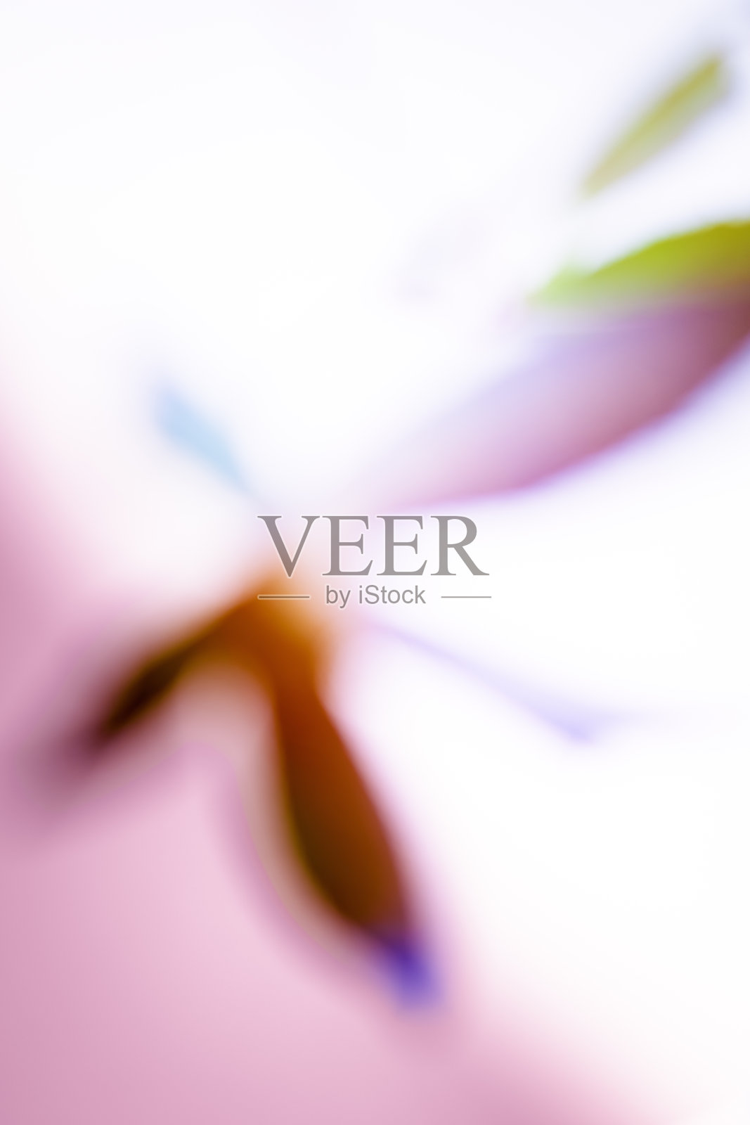 抽象模糊的背景图像与粉红色，紫色，蓝色，红色和白色的颜色。照片摄影图片