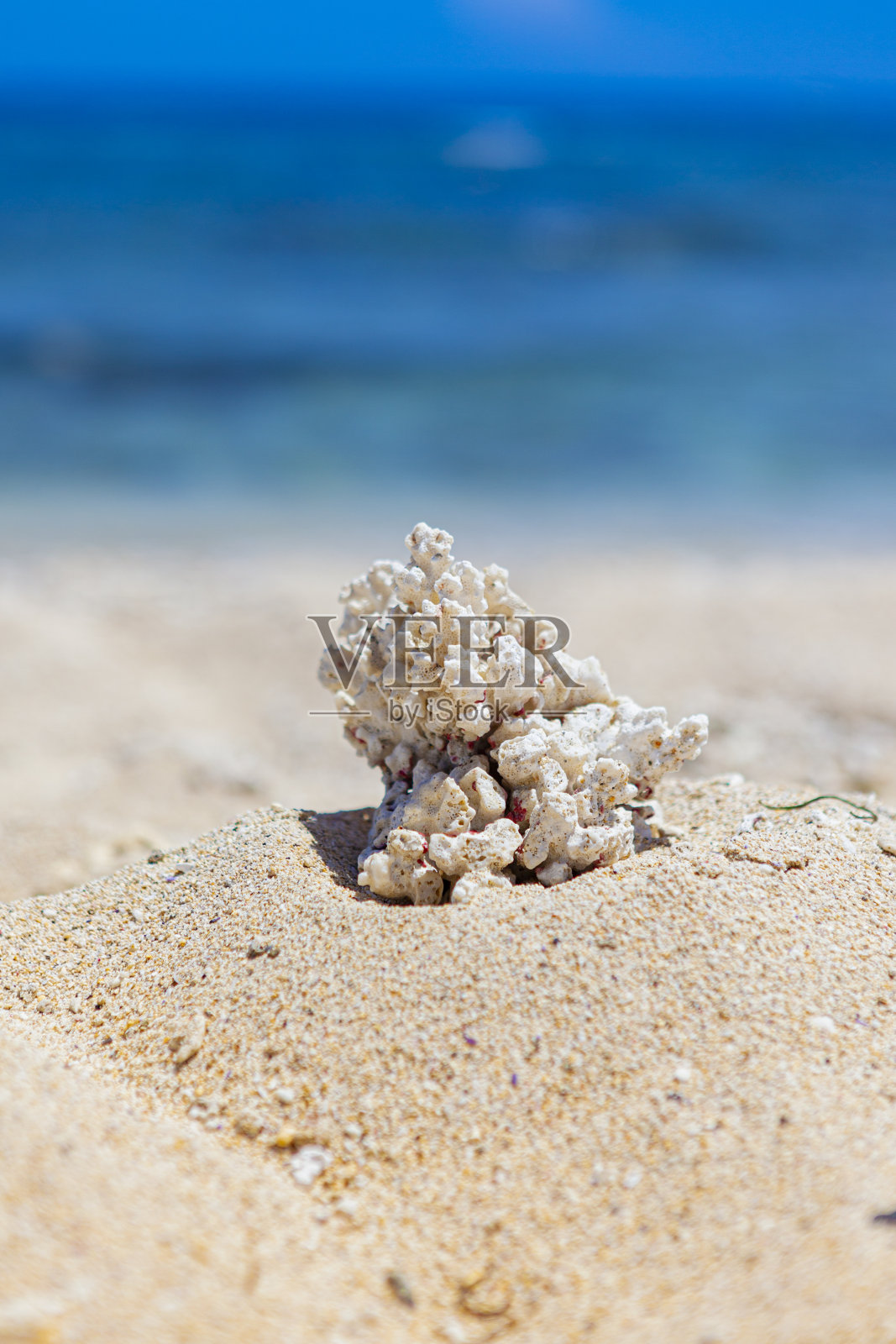 布坎卡诺海滩，留尼汪岛珊瑚海滩与黑色火山灰和海藻在海岸。照片摄影图片