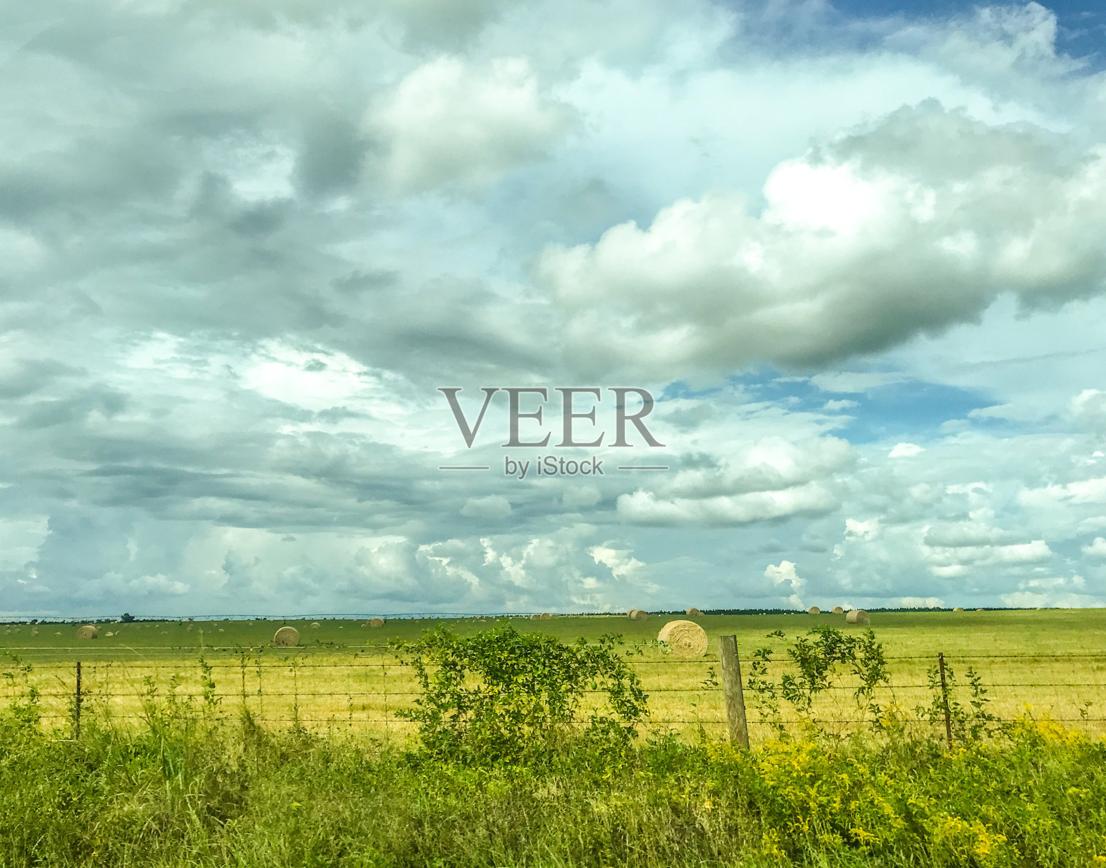 泰碧岛格鲁吉亚照片摄影图片