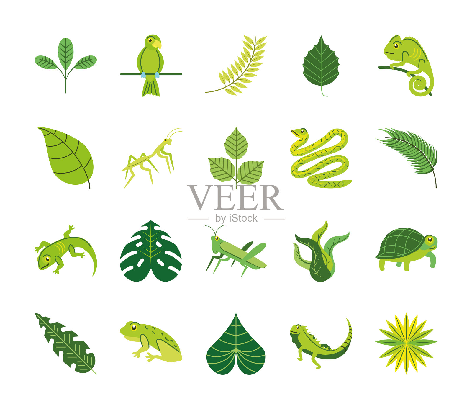 绿叶与动物插画图片素材