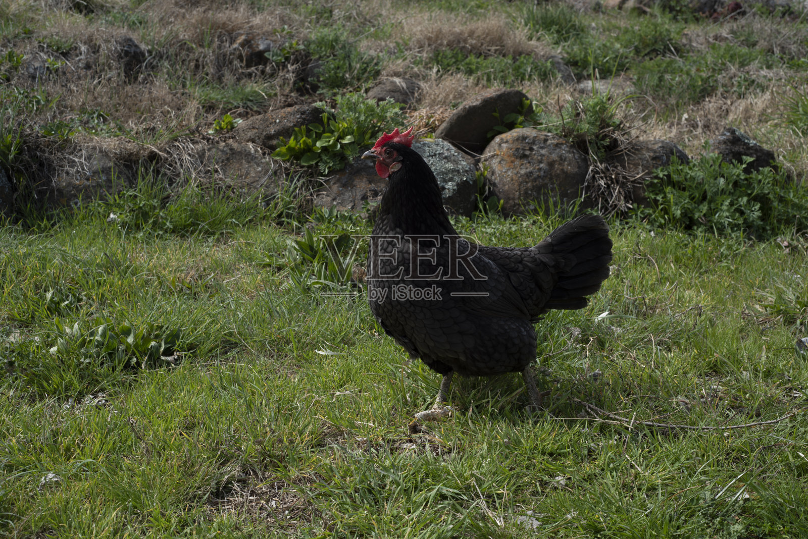 去照片摄影图片