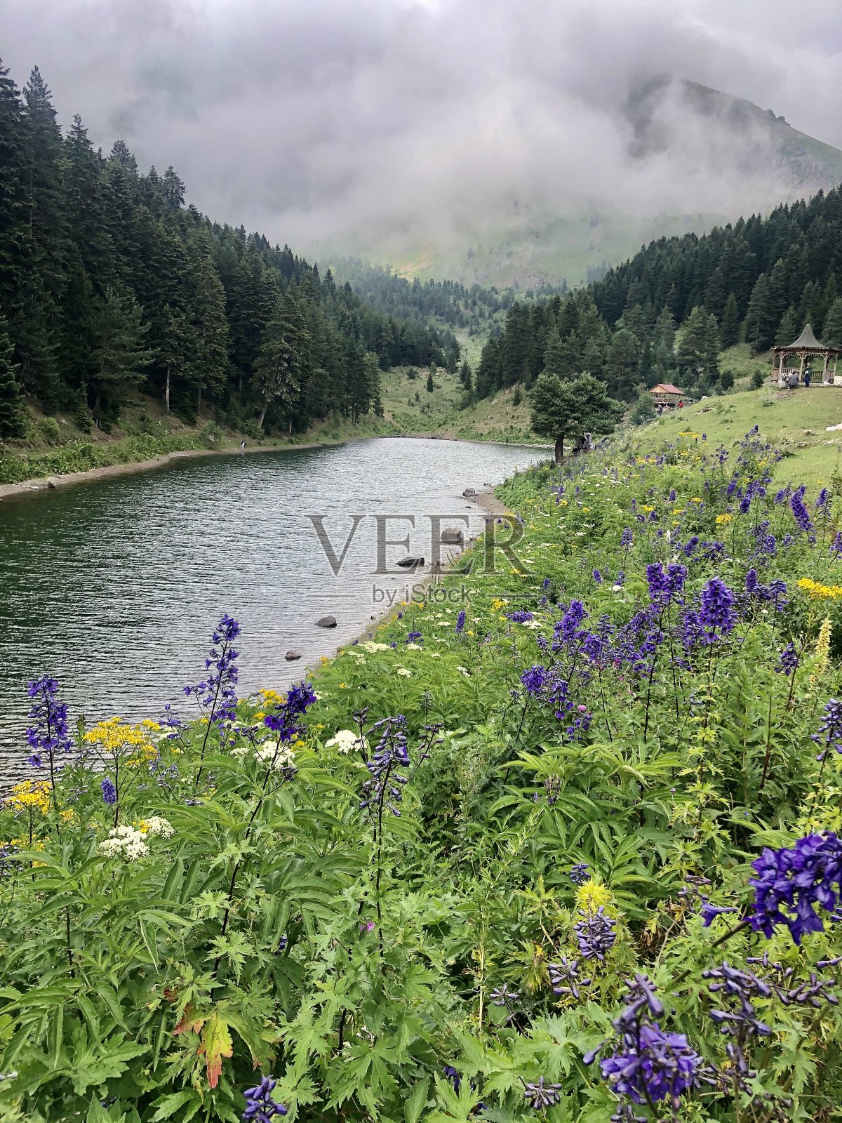 湖照片摄影图片