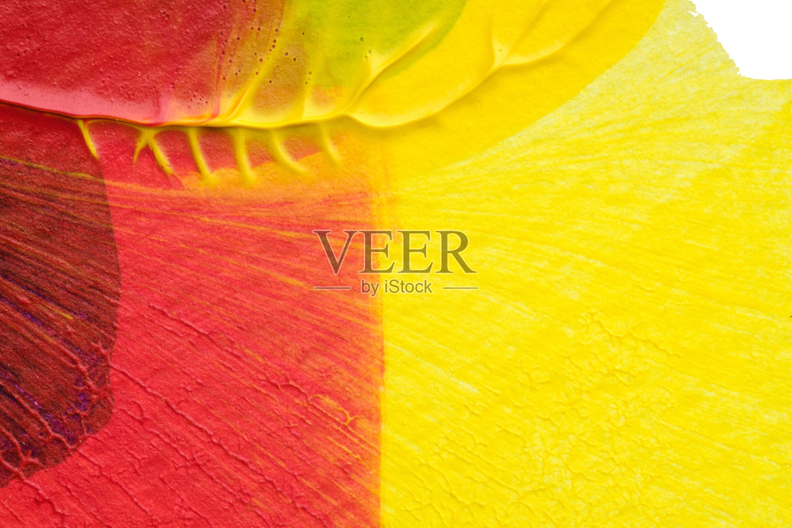 蓝紫红黄抽象丙烯绘画色彩纹理在白色背景上采用墨渍法照片摄影图片