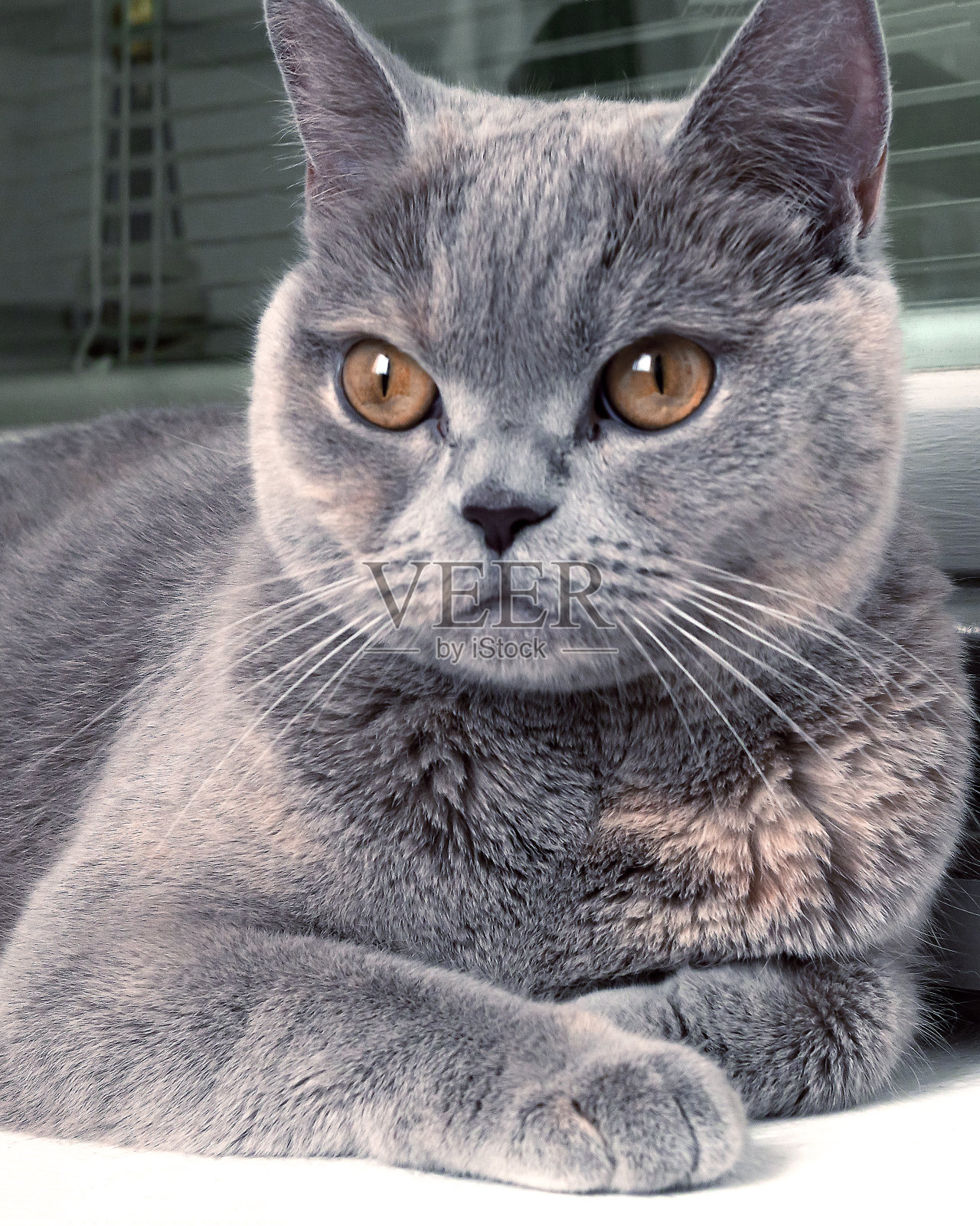 ．照片摄影图片