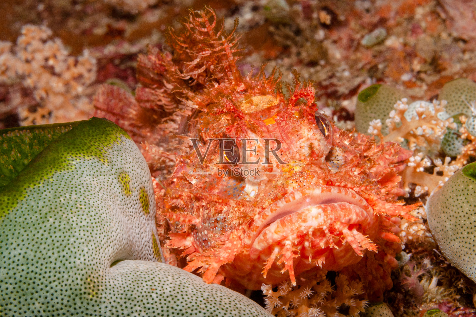 与龙头接触会变得非常痛苦照片摄影图片