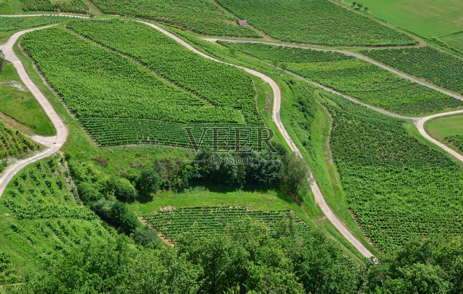 在葡萄园的飞机上照片摄影图片