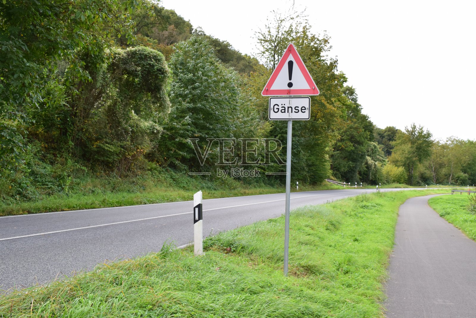 莱茵谷路，鹅牌警告标志照片摄影图片