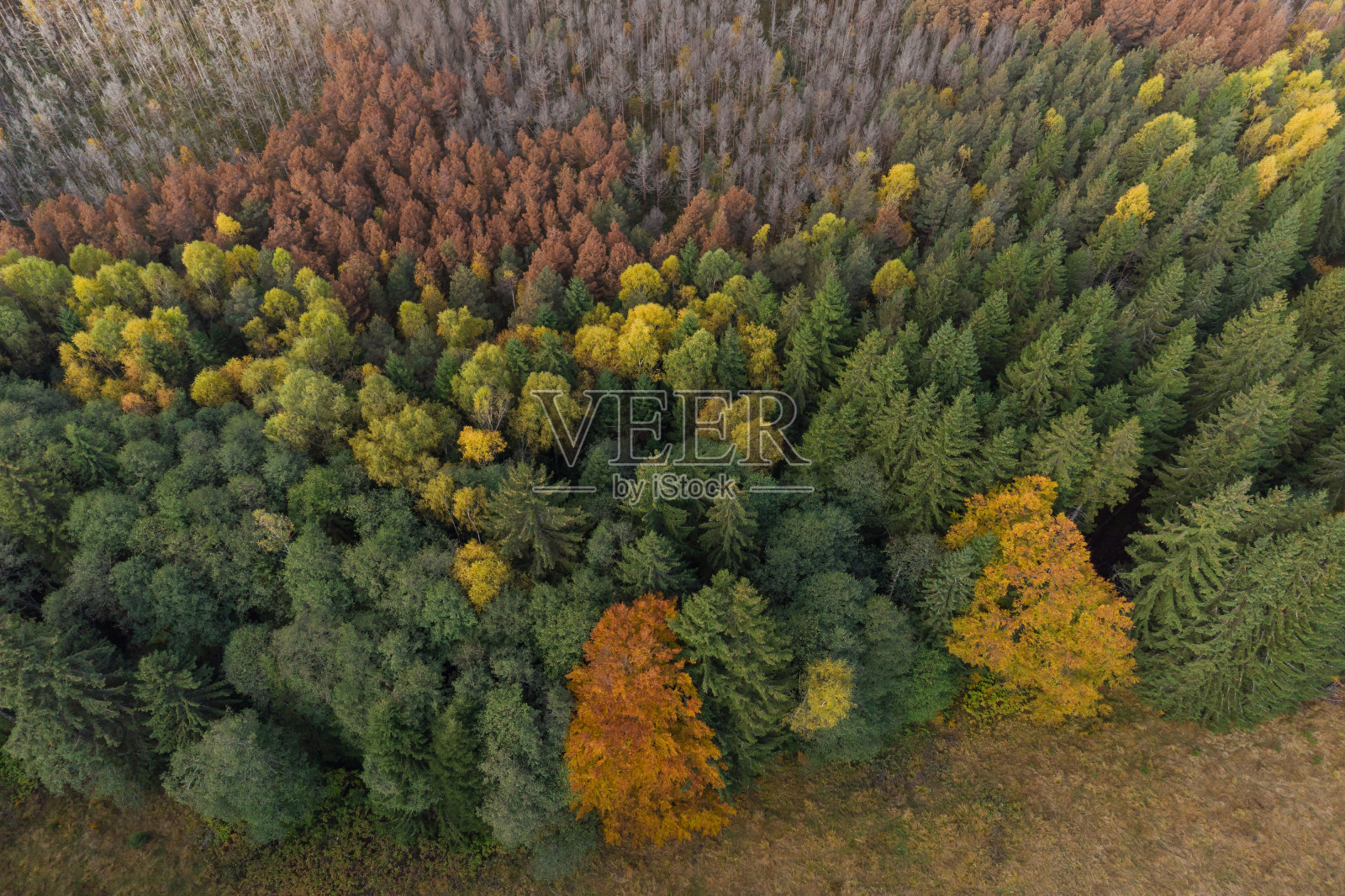 罗马尼亚乡村的山地景观照片摄影图片