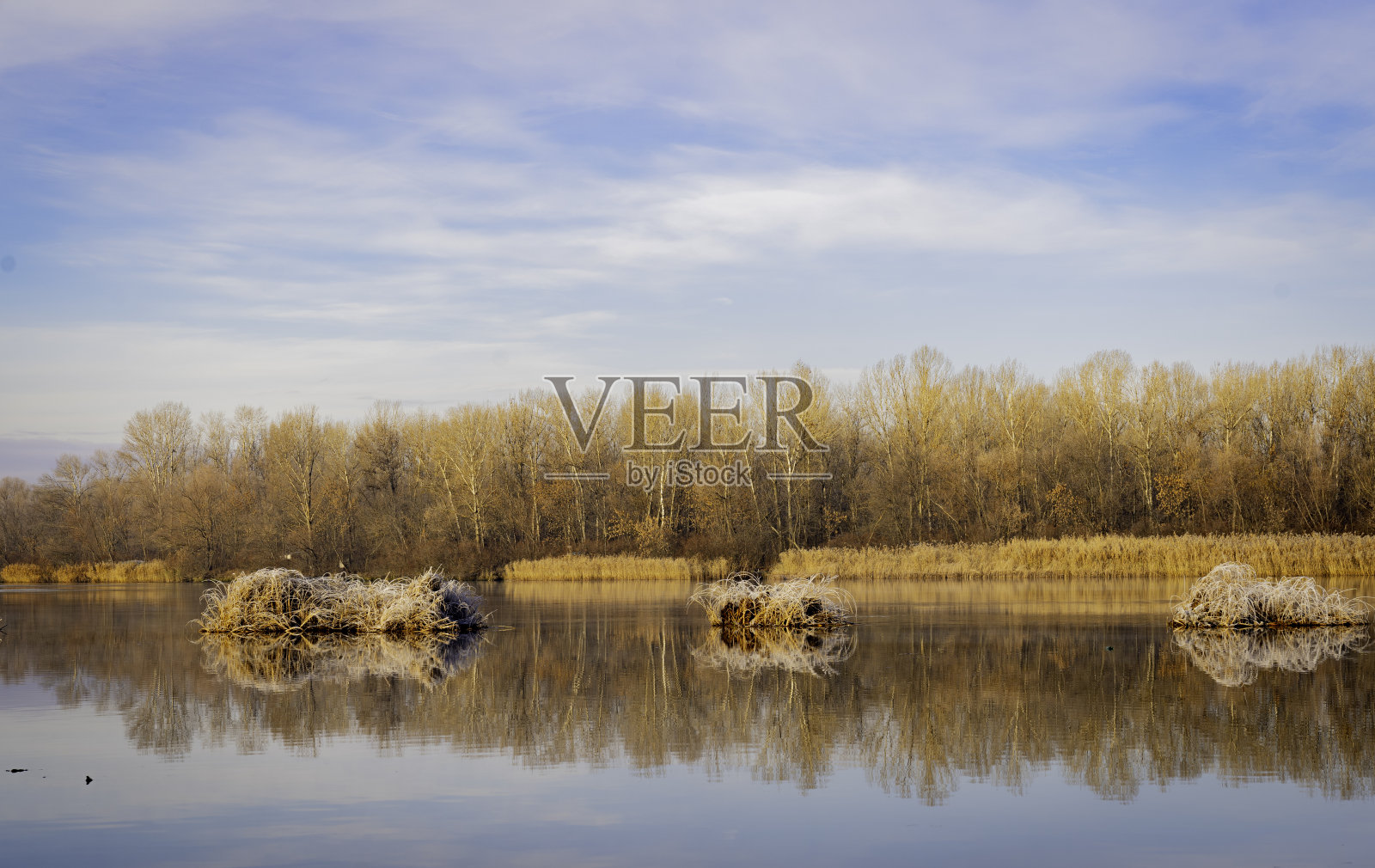 冬天就要来了照片摄影图片