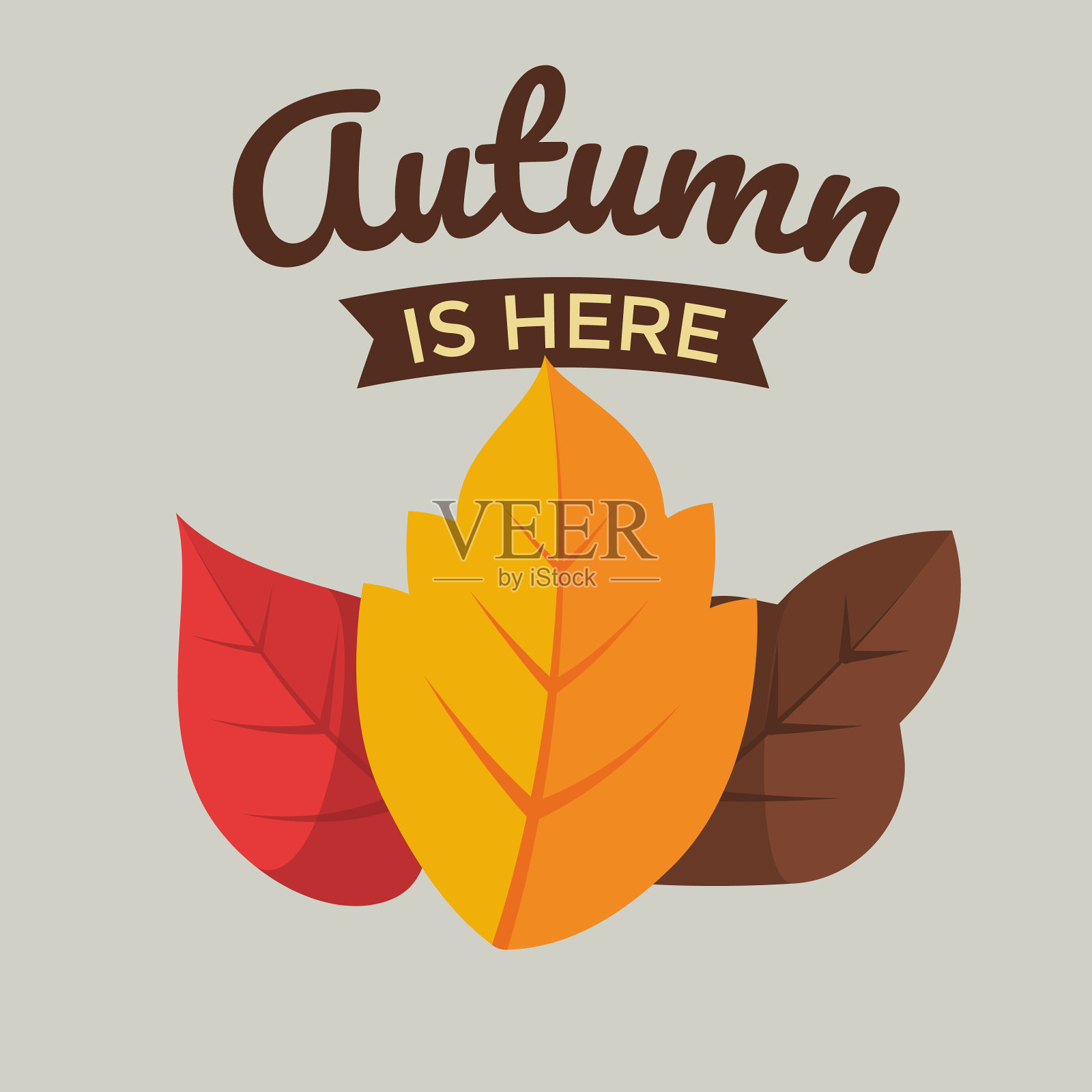 秋天的标签设计插画图片素材