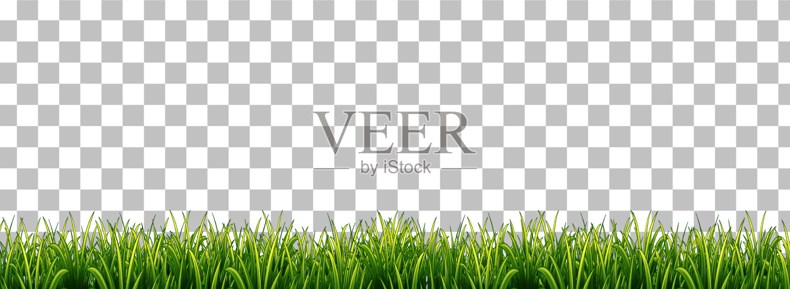 绿色的草在透明的背景插画图片素材