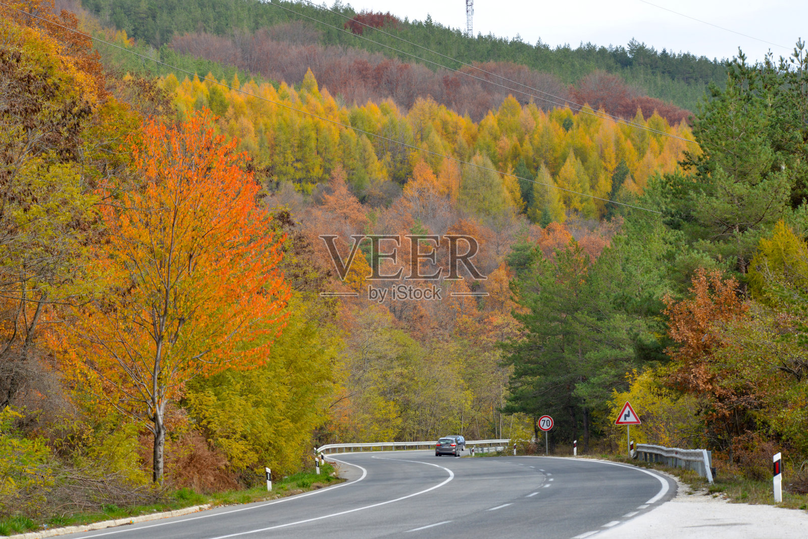美丽的风景，秋天森林和柏油路的色彩照片摄影图片