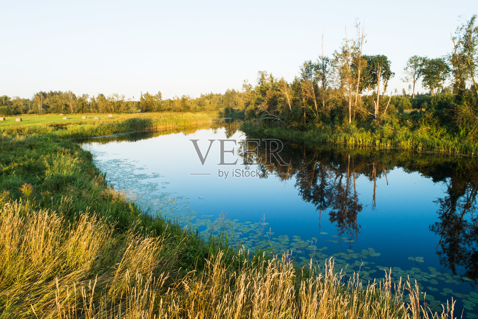 在爱沙尼亚的一个夏日夜晚，鸟瞰郁郁葱葱的河岸照片摄影图片