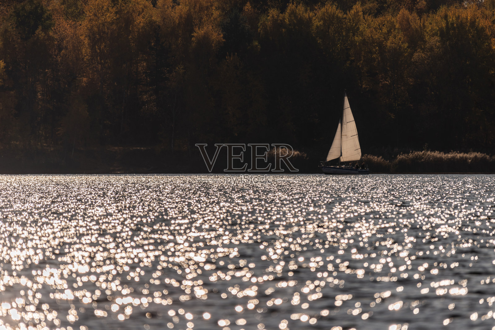 湖面上的帆船，映衬着秋天的树木照片摄影图片