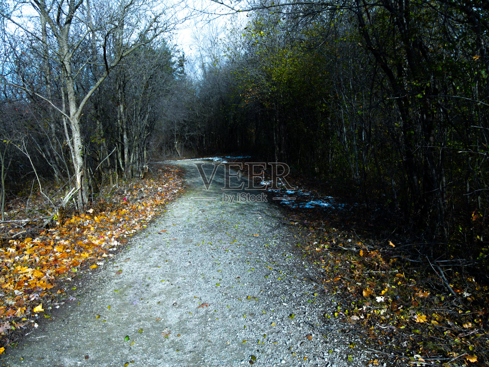 公园路照片摄影图片