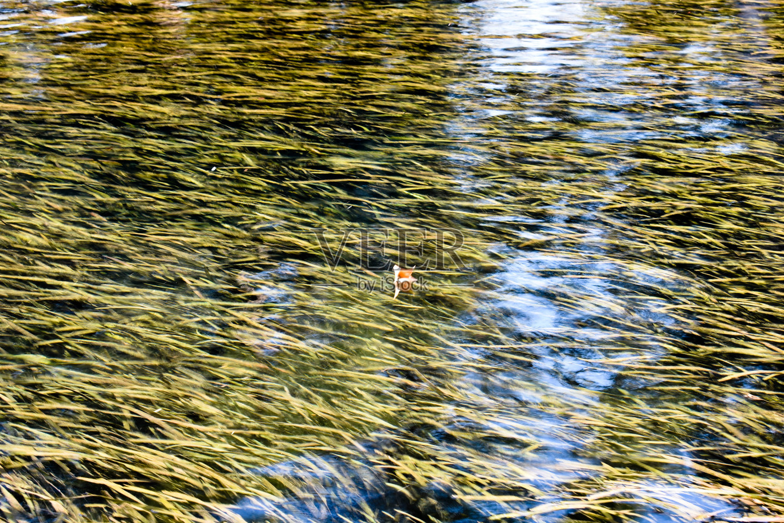 兰达河照片摄影图片